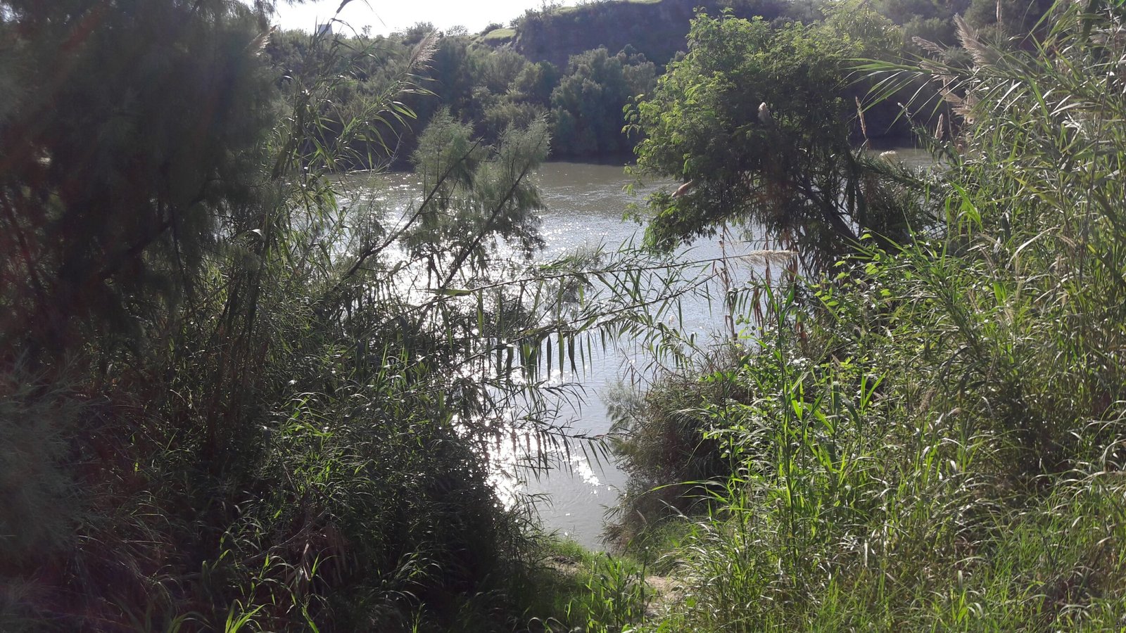 Vista del río Bravo, que marca parte de la frontera entre México y Estados Unidos